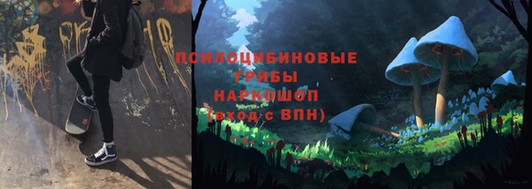 прущая мука Инсар