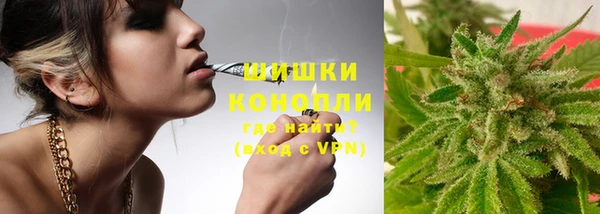 прущая мука Инсар