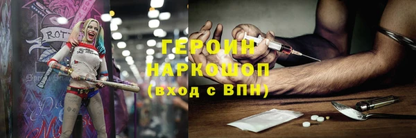 шишки Инта