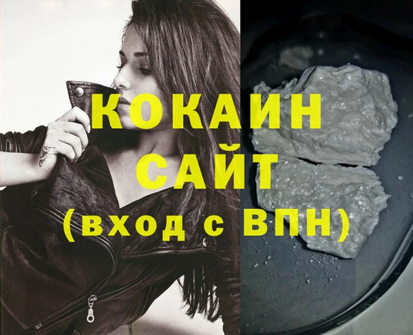 шишки Инта
