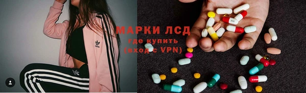 шишки Инта