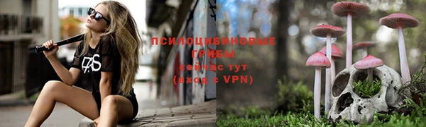 прущая мука Инсар