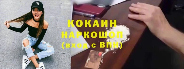 шишки Инта