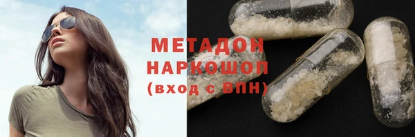 шишки Инта