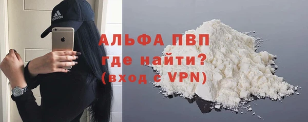 шишки Инта