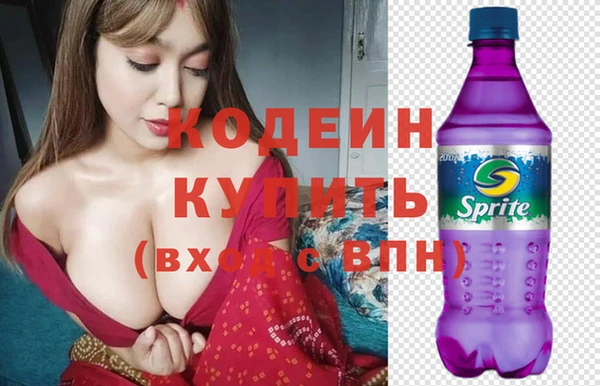 шишки Инта