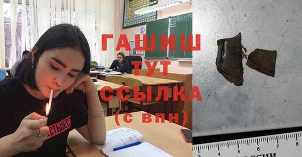 шишки Инта