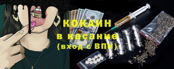 шишки Инта