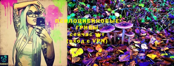 прущая мука Инсар