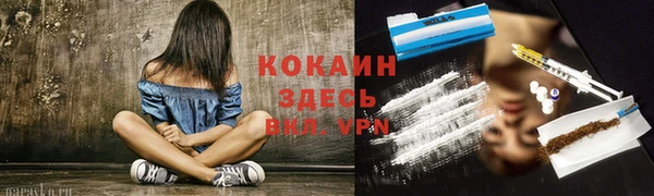 шишки Инта