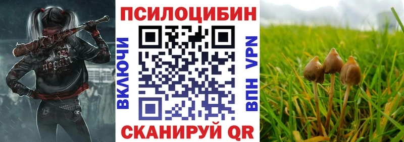 Псилоцибиновые грибы мицелий  blacksprut как зайти  Нерехта  закладки 